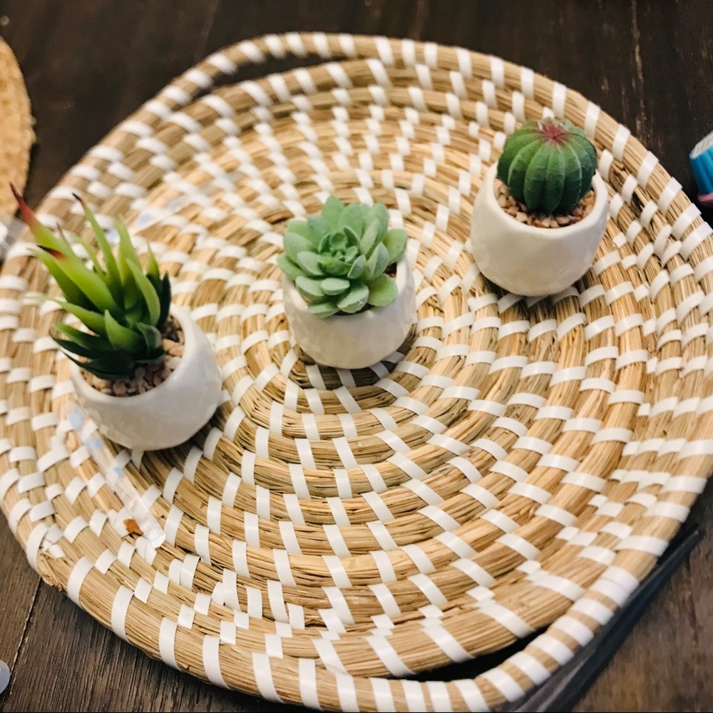 mini plants
